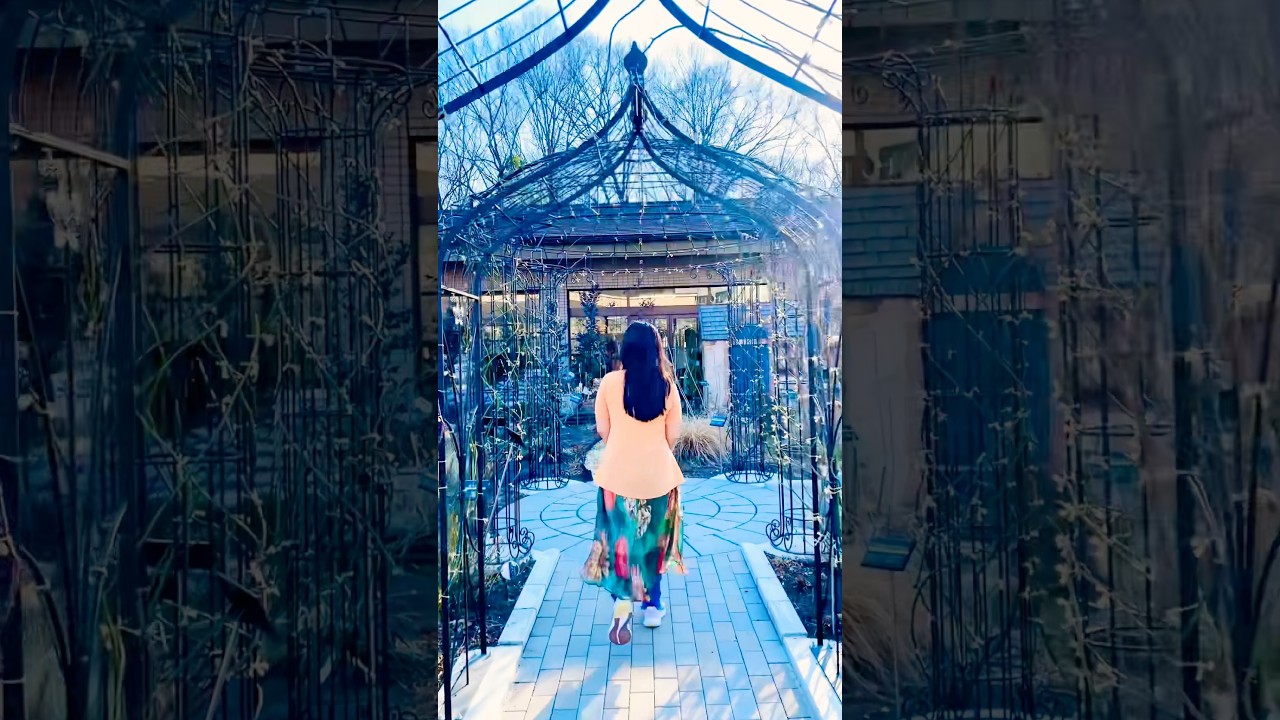 Rose Garden In Japan, Pretty Little baby. #happy #japan #viralvideo #fypシ #rose #garden #shortsviral