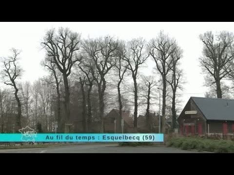 pourquoi la brique dans le nord