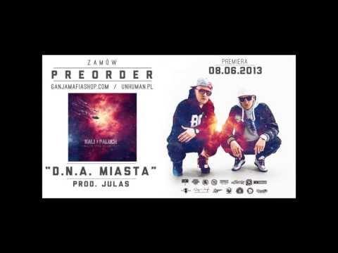06. Kali x Paluch - D.N.A miasta (prod. Julas)