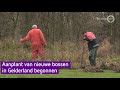 Aanplant van nieuwe bossen in Gelderland begonnen