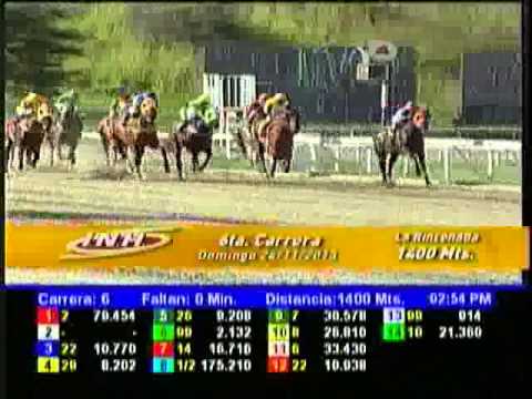 Resumen Domingo, 24 de Noviembre de 2013 - La Rinconada