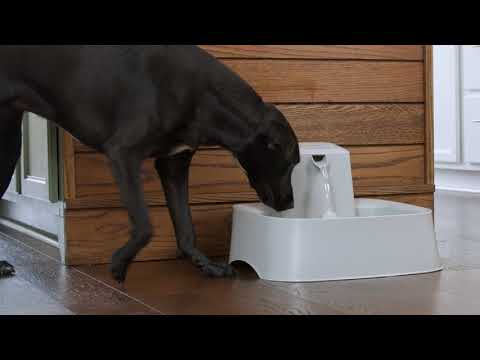 Great for Big Dogs and Multiple Pets - PetSafe® Drinkwell® 2 Gallon Pet Fountain