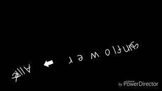 Sunflower: Allie X Lyrics