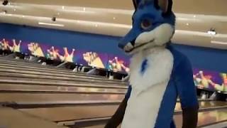 preview picture of video 'Fur Bowl in Vacaville part 1. (trimmed-2)'