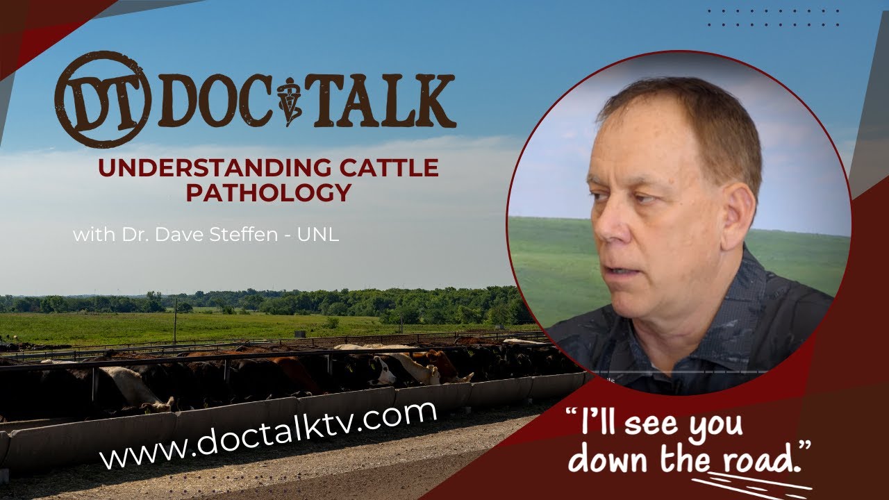 DocTalk Ep 625 - Understanding Cattle Pathology: Insights from Dr. Dave Steffen
