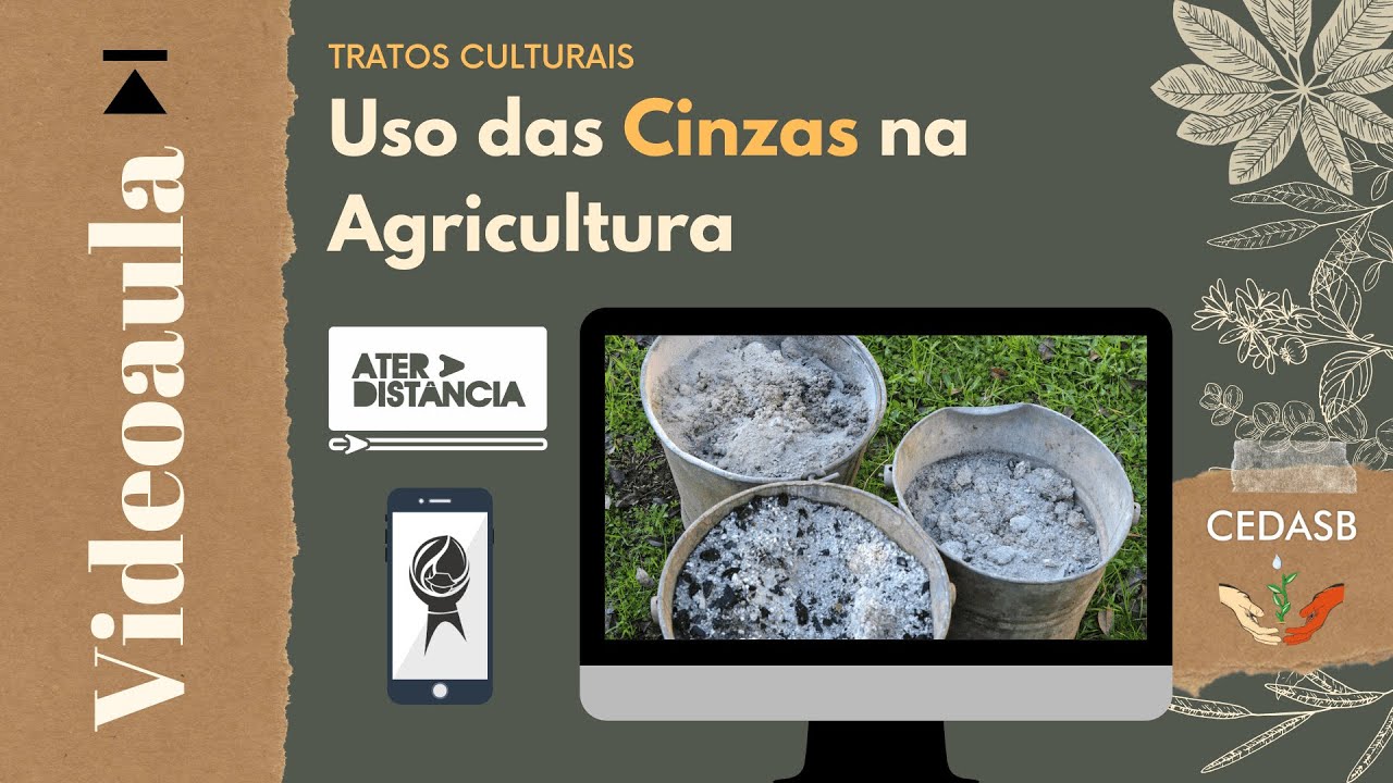 Uso das Cinzas na Agricultura - videoaula [ATER a Distância]