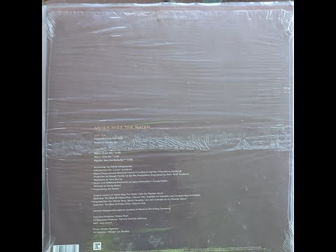 Chaka Khan Featuring Me'Shell NdegéOcello – Never Miss The Water  (Stylus Club Mix) - Side 2