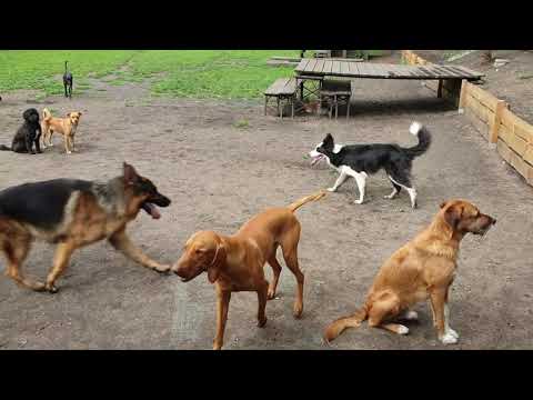 Gute Laune in der Huta - 30.06.2020