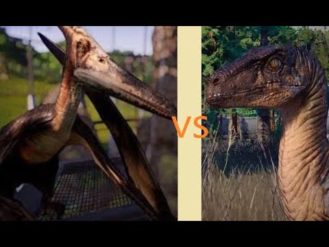 Pteranodon vs Velociraptor