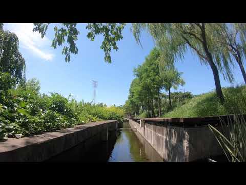 [ASMR] Summer sound And Scenery of Seoul Seonyudo Island ( South Korea )