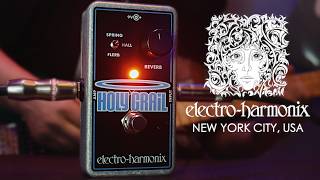 EHX Holy Grail Nano Reverb Pedal Demo