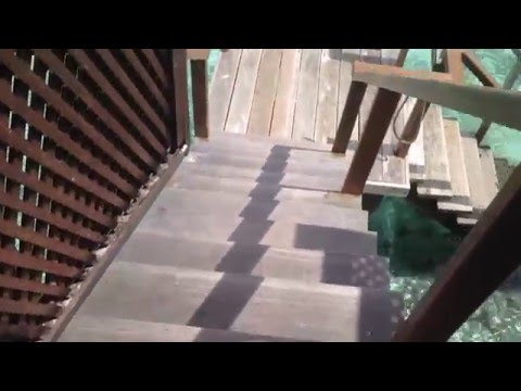 Videos del Adaaran Prestige Water Villas 5★ en Raa Atoll, MaldivasVer MásVerPrecios18CerrarConsulta por Whatsapp 🇦🇷BookingTripadvisorExpediaAgodaTravelocityOrbitzPricelineTripSkyscannerDespegarKayakHotelesDestiniaTrivagoLastminuteHotwireTuiWotif