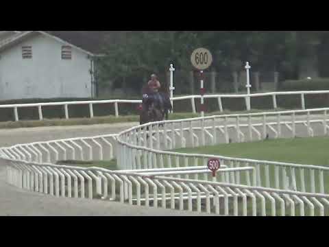 TOPO DO SUL-REVISTA INVASOR