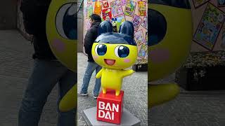 Morning walk around Asakusa 浅草朝のお散歩✨ #visitjapan #discoverjapan #explorejapan #visittokyo #bandai