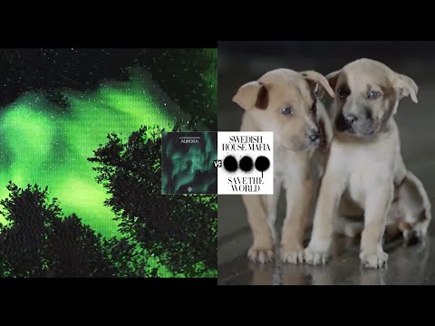 Martin Garrix x Blinders vs Swedish House Mafia - Aurora vs Save The World (Matthews Mashup)