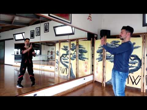 Learning Siu Nim Tau Leung Ting Wing Tsun Kung Fu