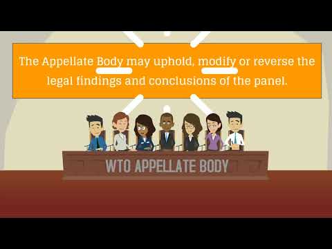 Function of the Appellate Body and scope