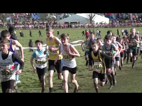 U13B 2014 National XC Champs
