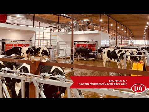 Fifth Generation Wisconsin Dairy Installs 12 Milking Robots in New Barn | Large Herd Dairy | Lely