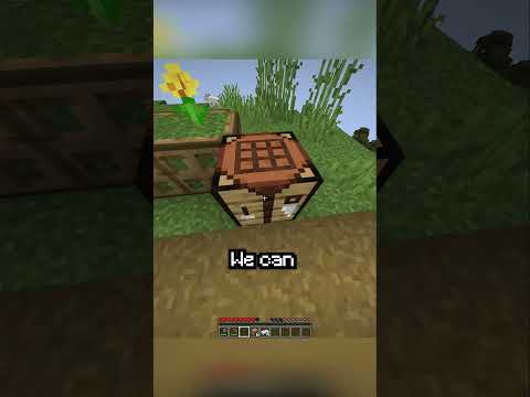 Bhass - Minecraft, But If I Say the Letter "L" Video Ends