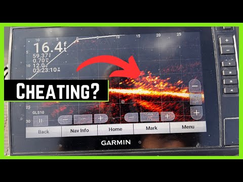 Is Livescope Cheating?