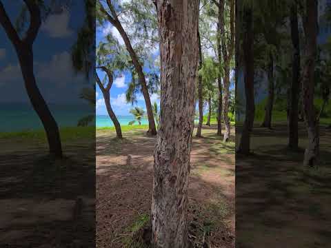 peaceful atmosphere at the beach