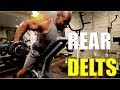 BIG Rear Delts! How to Work the BACK of Your Shoulders