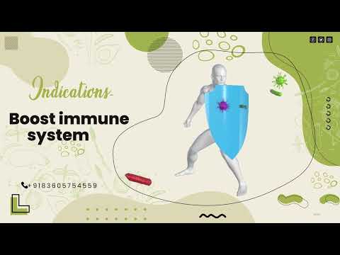 Top 7 Best Fat Burner For Women Best Female Fat Burner