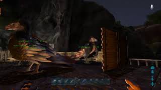 ARK(PS4版)　ラグナロク島で共同メンバー生活！　新年！