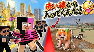 【お金持ちvs貧乏⁉️】赤い線で村を真っ二つにしてくるマイクラ(#ぴこみんず)意地悪赤ライン女を撃退！