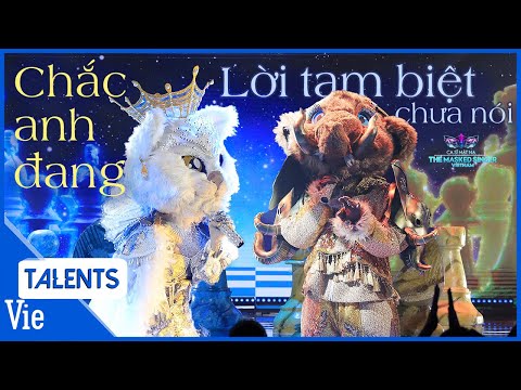 Chắc Anh Đang x Lời Tạm Biệt Chưa Nói - Voi Bản Đôn & Miêu Quý Tộc bùng nổ kết hợp | Ca Sĩ Mặt Nạ