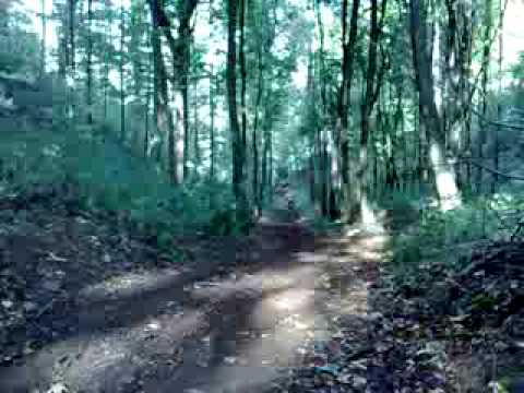 55.DEČKI  ŽUTNICE - Uspon prije klijeti