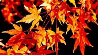 OUTONO - Djavan (letra e vídeo).flv