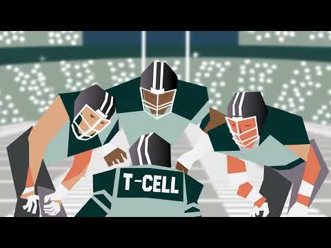 Re-training Your Immune System to Tackle Cancer ...