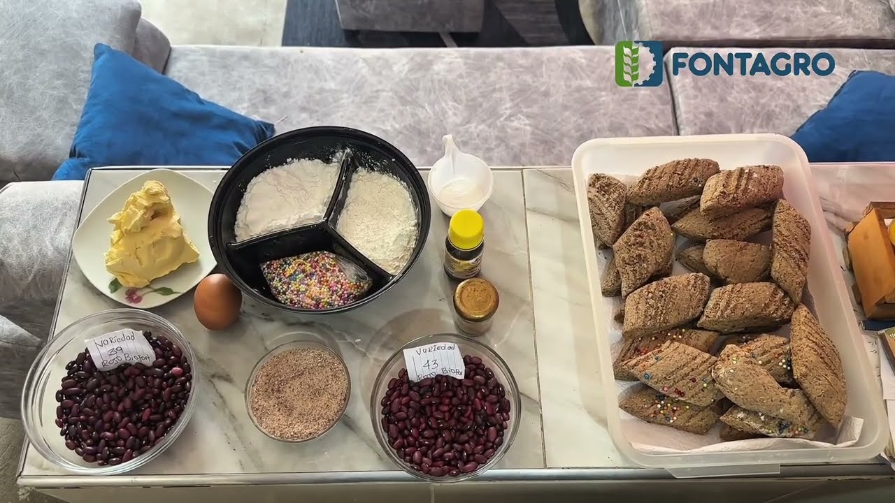 Alianzas regionales para la diseminación de frijol rico en hierro en ALC - Nutrición y Salud