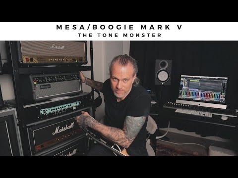 Mesa Boogie Mark Five 25 2-Channel 25-Watt Guitar Amp Head image 9
