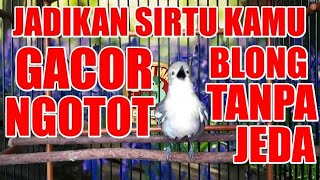 Download lagu REM BLONG : Pancingan Ngetir Tanpa Jeda, Bikin Sirtu / Cipoh Gacor Ngotot mp3