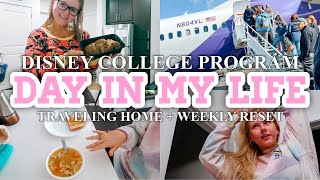 Disney College Program DIML | Traveling Back to Florida, Buying Groceries, + More