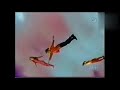 Sesame Street Floating Kids W