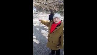 baum mensch säule @bazonbrock