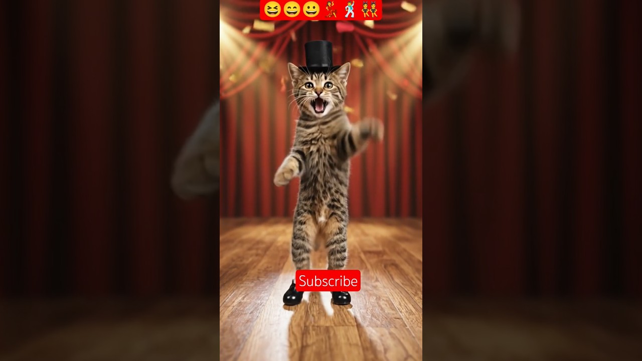 POV: Your Cat Learned TikTok Dance 🐱🎶 #DancingCat #TrendingShorts #CuteCats #ForYou