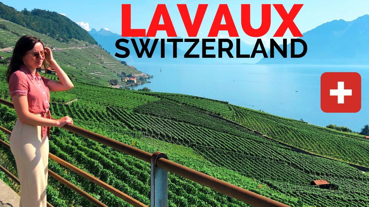 Embark on a virtual tour through the stunning terraces of Lavaux vineyards.