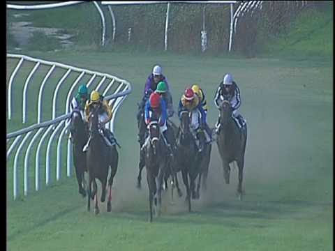 Galoppo 09/08/2017 - 5ª corsa