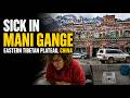Sick In Mani Gange Eastern Tibetan Plateau China