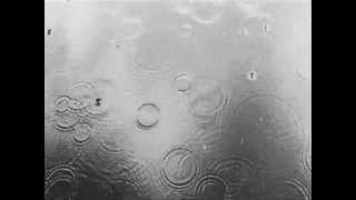 YOHIO-Let the Rain Fall Down lyrics