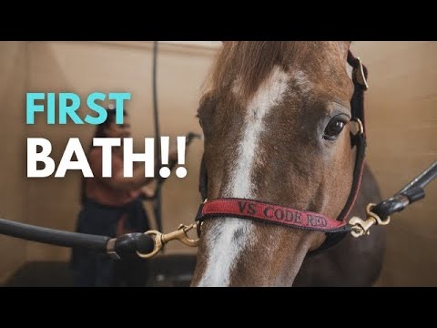 Giving VS Code Red A Bath!