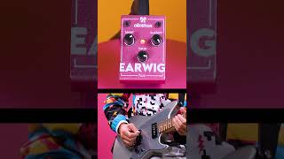 Video thumbnail for The World's Smallest Fuzz Pedal Creates Huge Sounds! – Olinthus Earwig Fuzz #guitarpedal by Olinthus