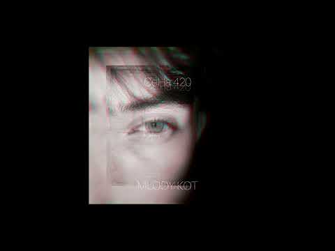 CeHa 420 - Młody kot