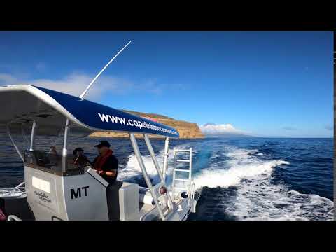 Capelinhos Ocean Tours - Faial, Azores 2020