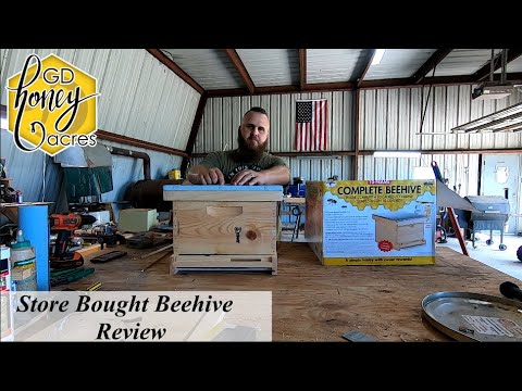 , title : 'Store Bought Beehive Review